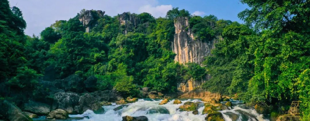 黄果树.jpg