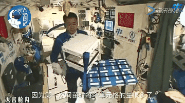 1680786961443564.gif 6.gif