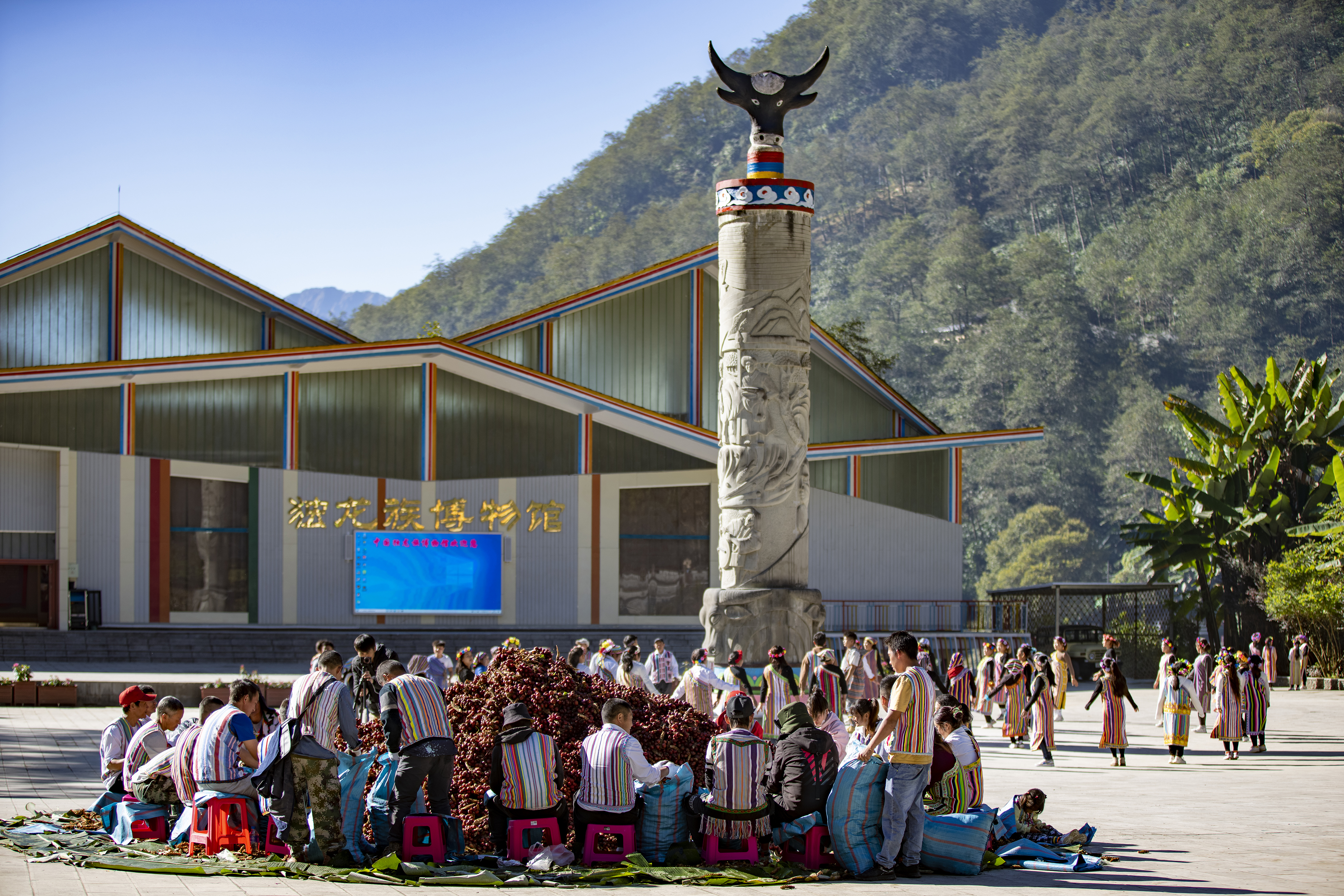 1681195732346565.jpg 好日子是种出来的——草果5.jpg