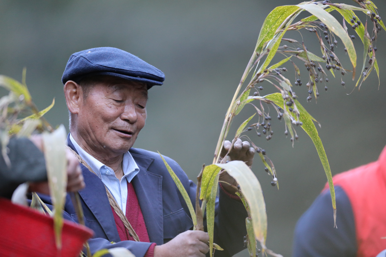 1681195876260446.jpg bbb8f798f27d598cec2756ccb7adeb4f.jpg