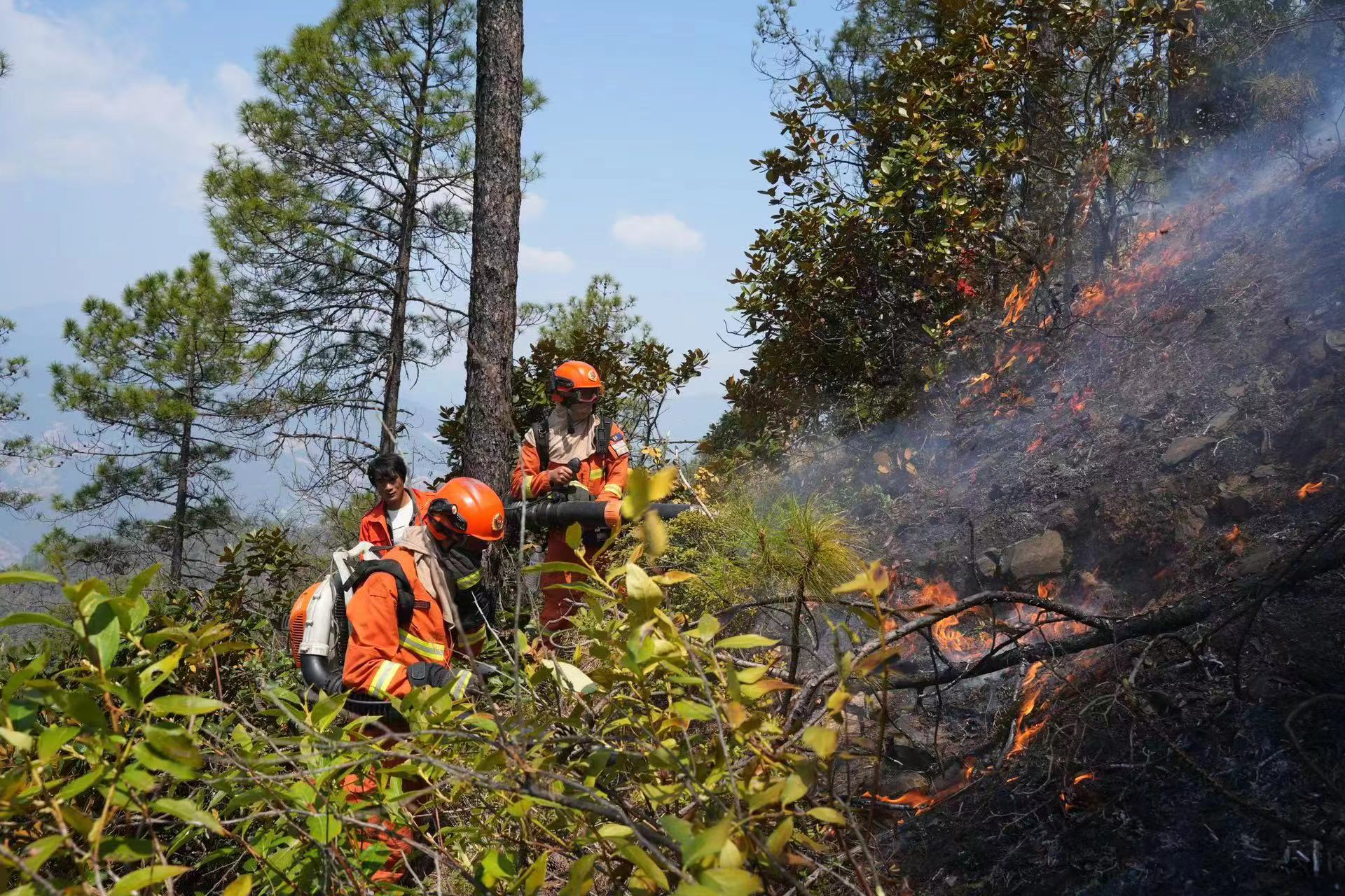 1681288852882283.jpg 微信图片_20230412160915.jpg