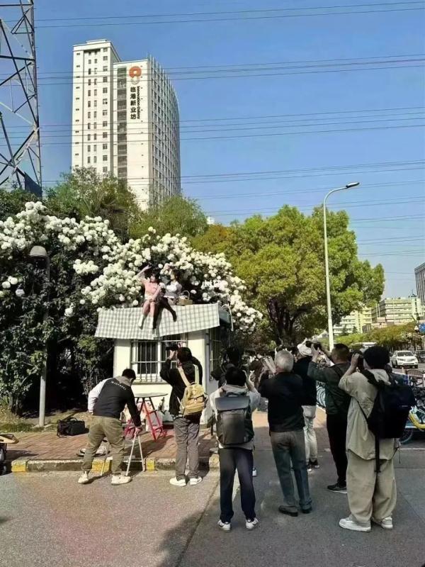 09.jpg