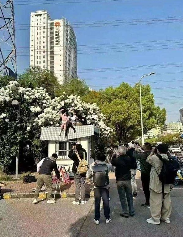04.jpg