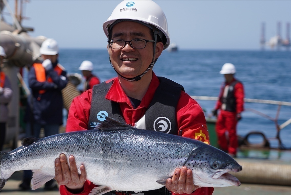 1682393459383434.png image.png