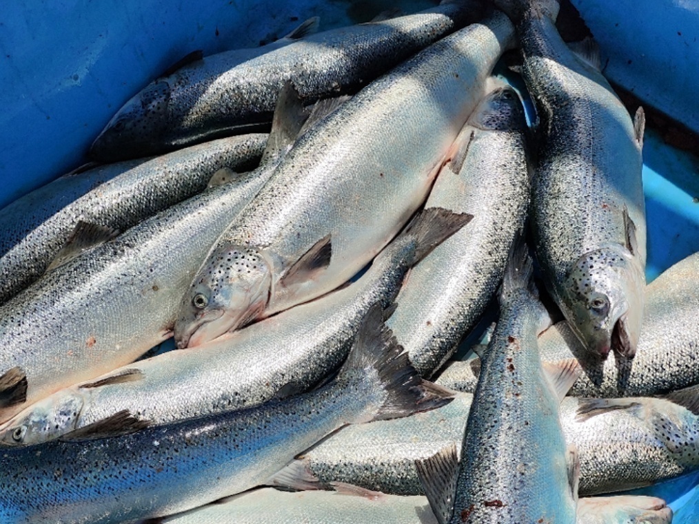 1682393493806689.png image.png