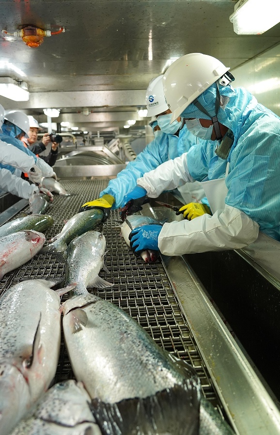 1682393657631762.png image.png