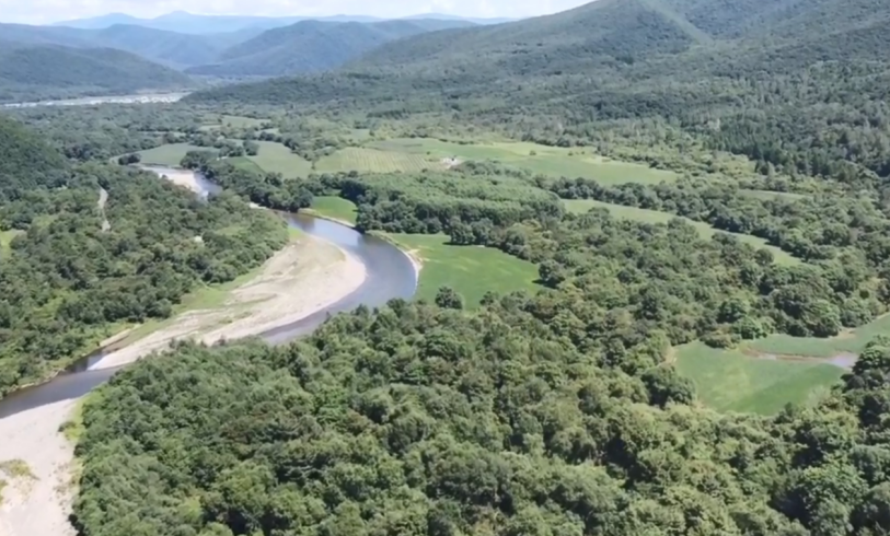 1683120464485154.png image.png