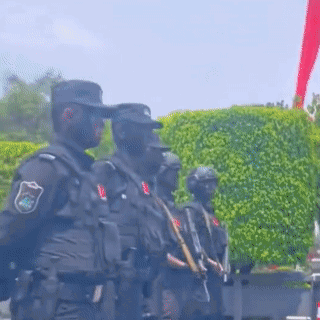 0033ImPzly4hdlg8r4e48g608w08wu0x02.gif