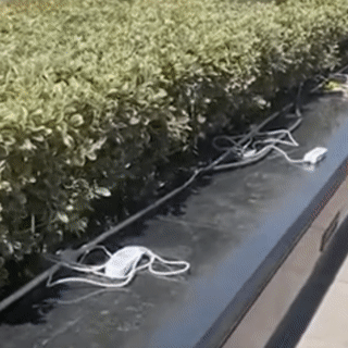 0033ImPzly4hdlg97aotug608w08wx6q02.gif