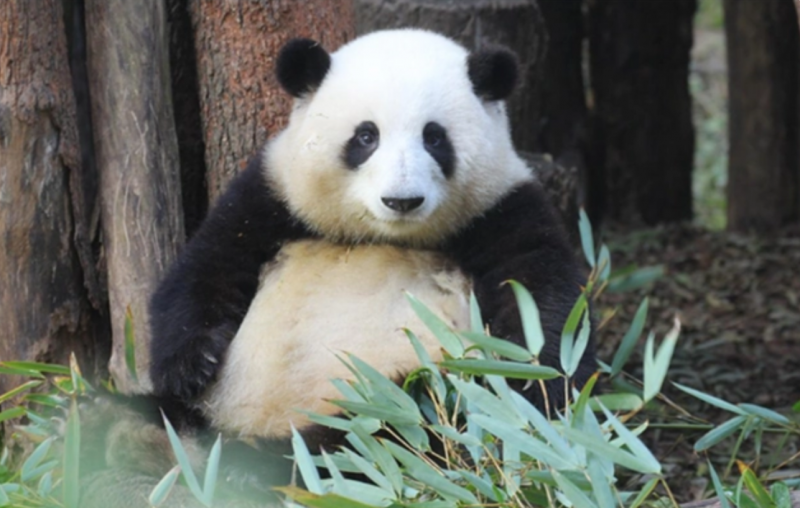 1683205066282509.png 微信图片_20230504205619.png