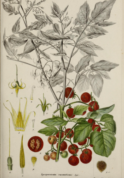 1683246113603412.png 微信图片_20230505081956.png