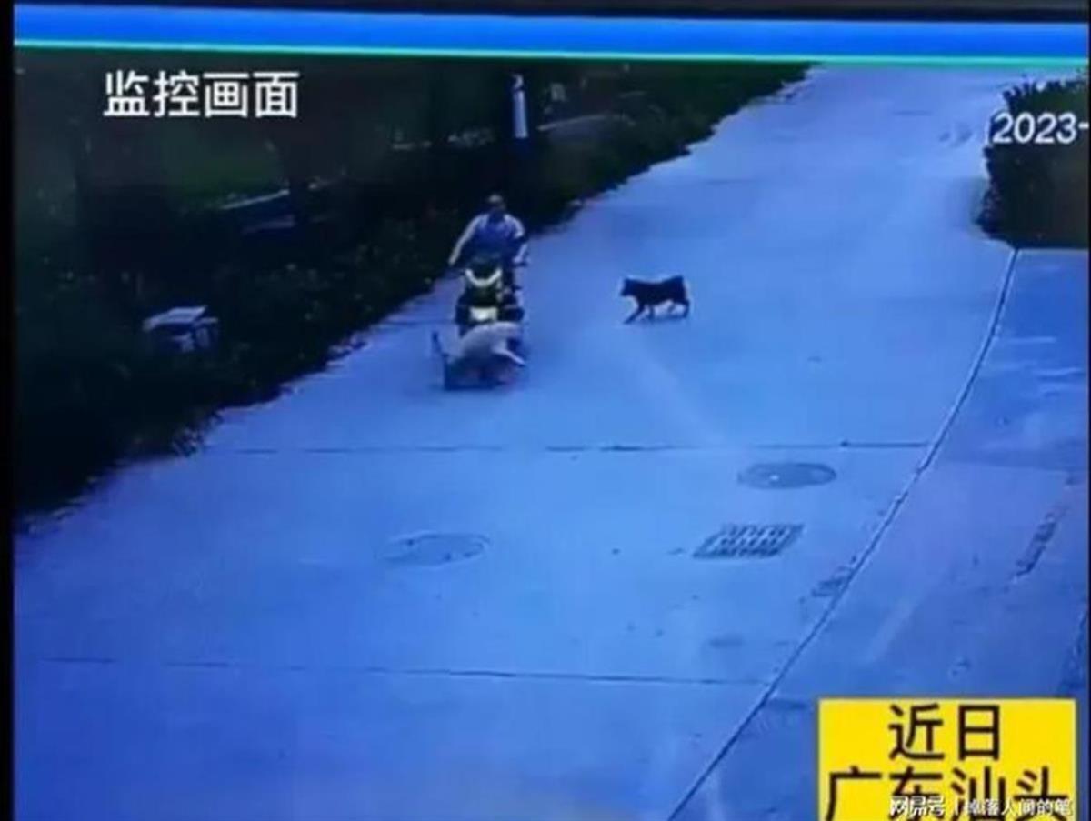 下载 (1).jpg