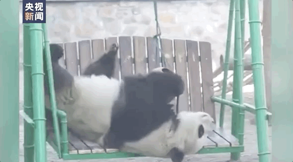 “西直门三太子”，你也太费玩具了！ -  - 2023-05-10 15-16-19.gif