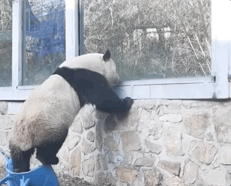 “西直门三太子”，你也太费玩具了！ -  - 2023-05-10 15-16-58.gif