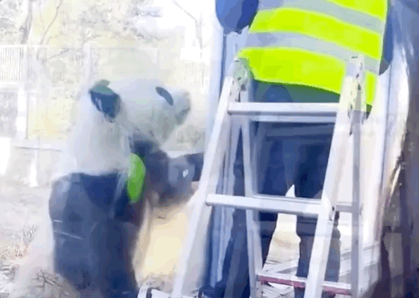 “西直门三太子”，你也太费玩具了！ -  - 2023-05-10 15-17-04.gif