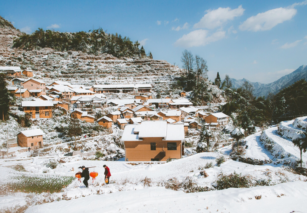 1683804157689491.png image.png