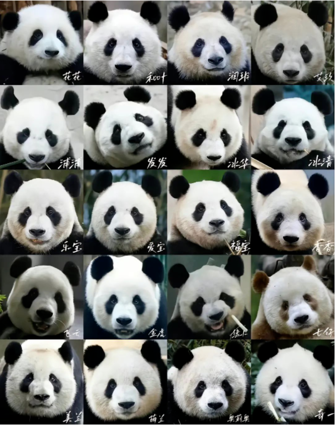 1683935983584162.png 微信截图_20230513080154.png