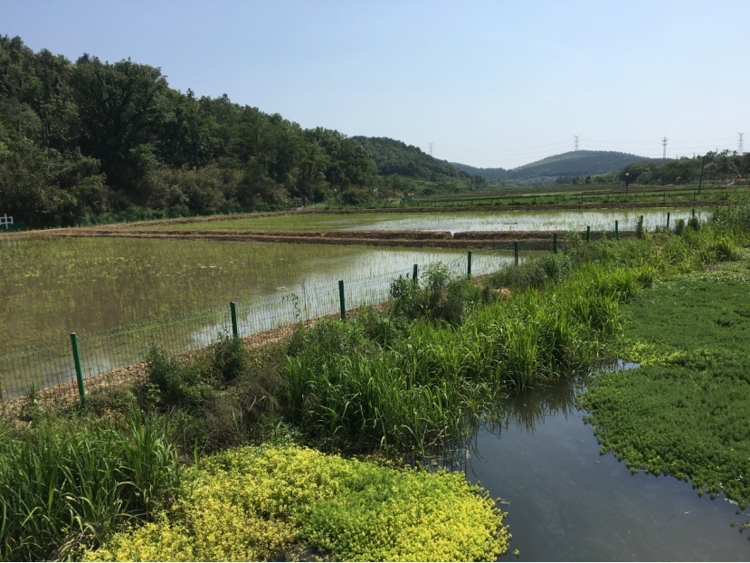 1684246318572212.png image.png