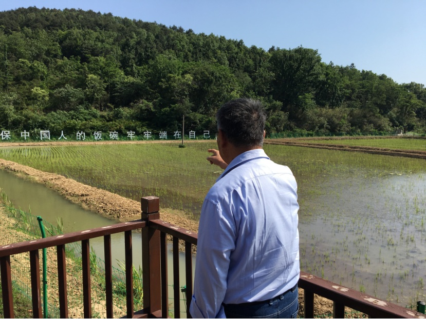 1684246360715633.png image.png