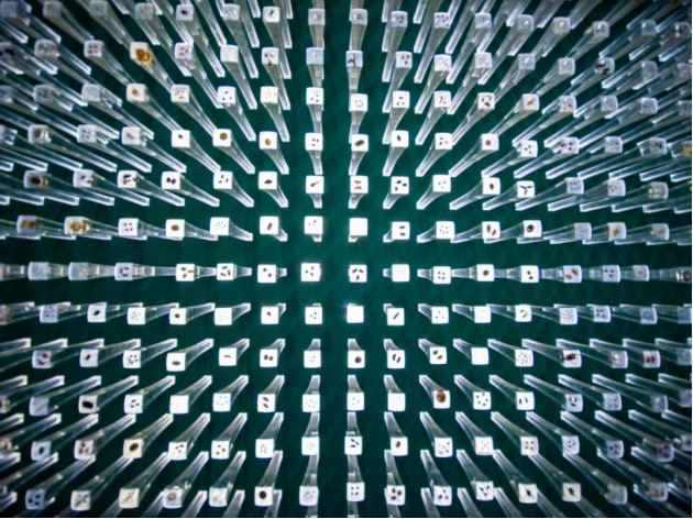 国际生物多样性日稿(1)(3)337.png