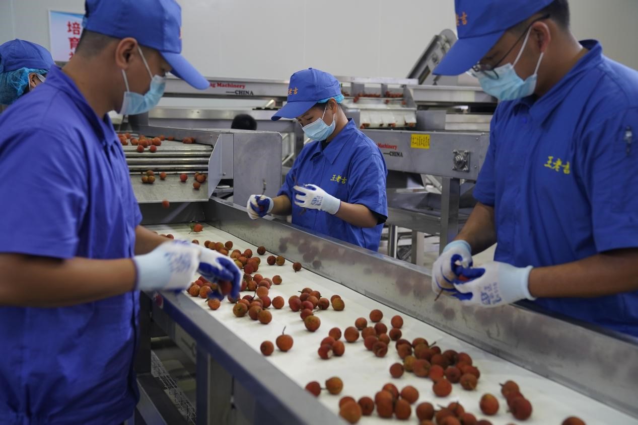 1684748626234486.jpg 1684721906381.jpg