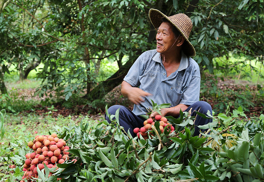 1684748743438370.jpg 9609859_9609859_1436588062805_mthumb.jpg