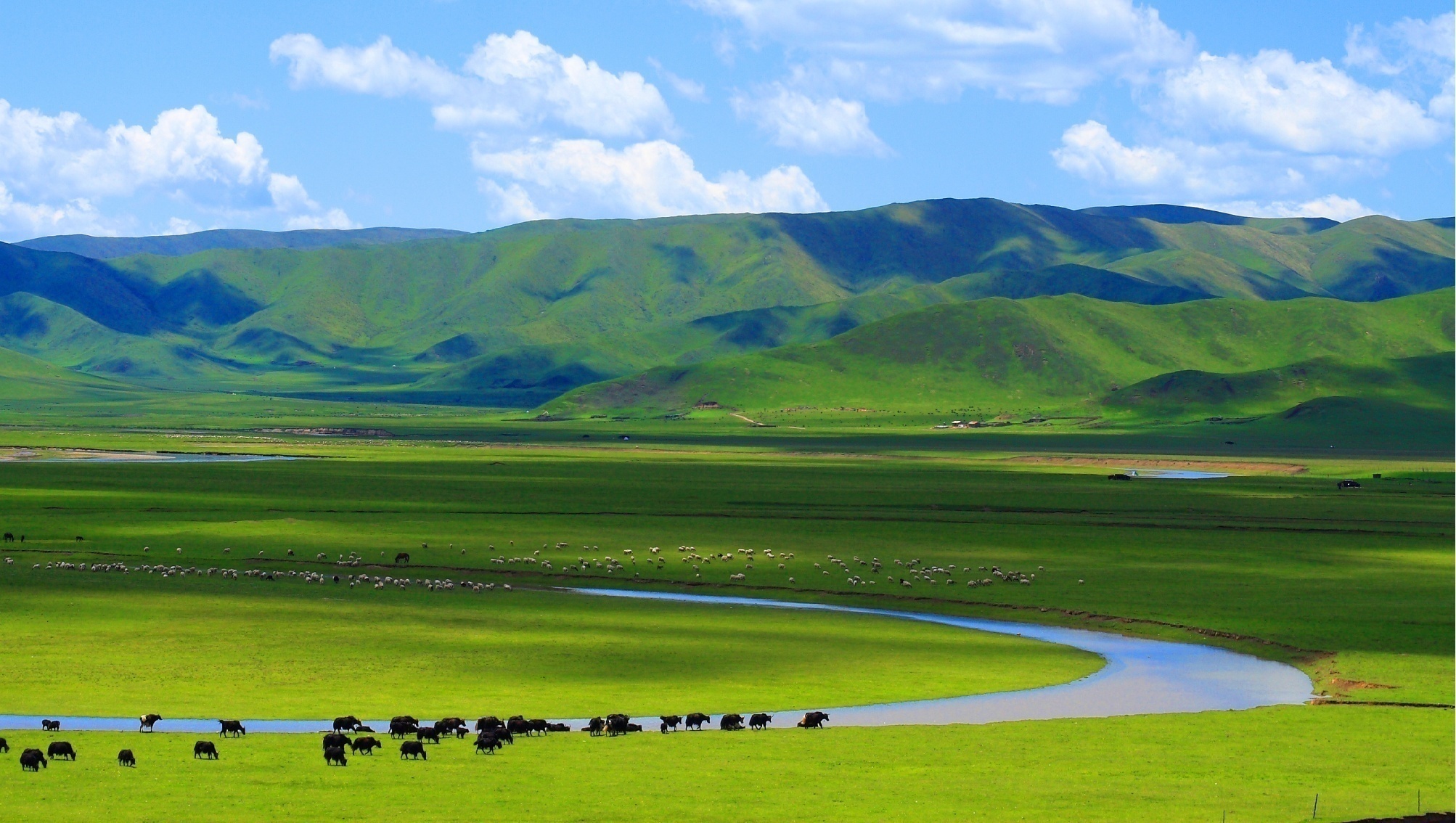 png?x-oss-process=style/w10