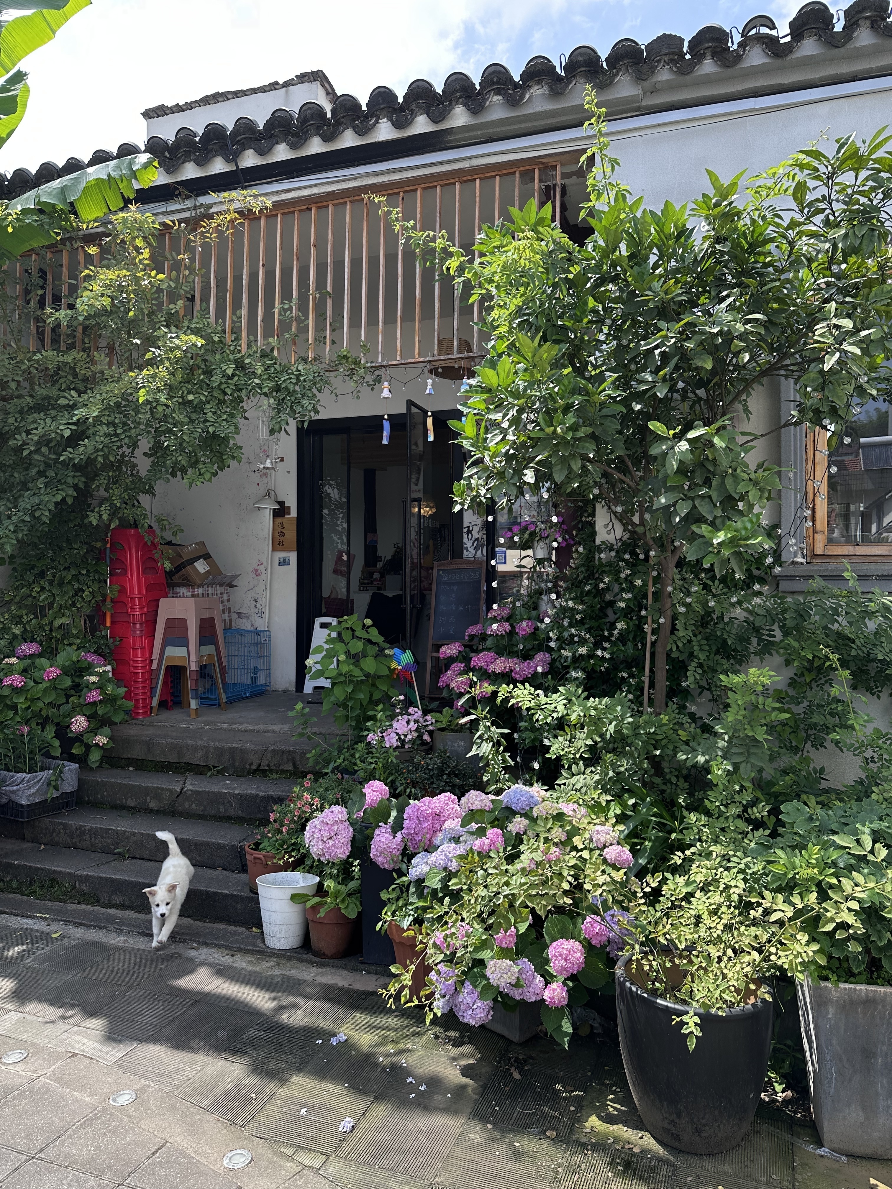 1684824613829665.jpg 796c4072278aceeb8ee629591a7cd04.jpg