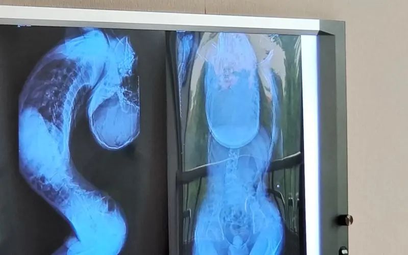 1685058504483932.jpeg 640-72.jpeg