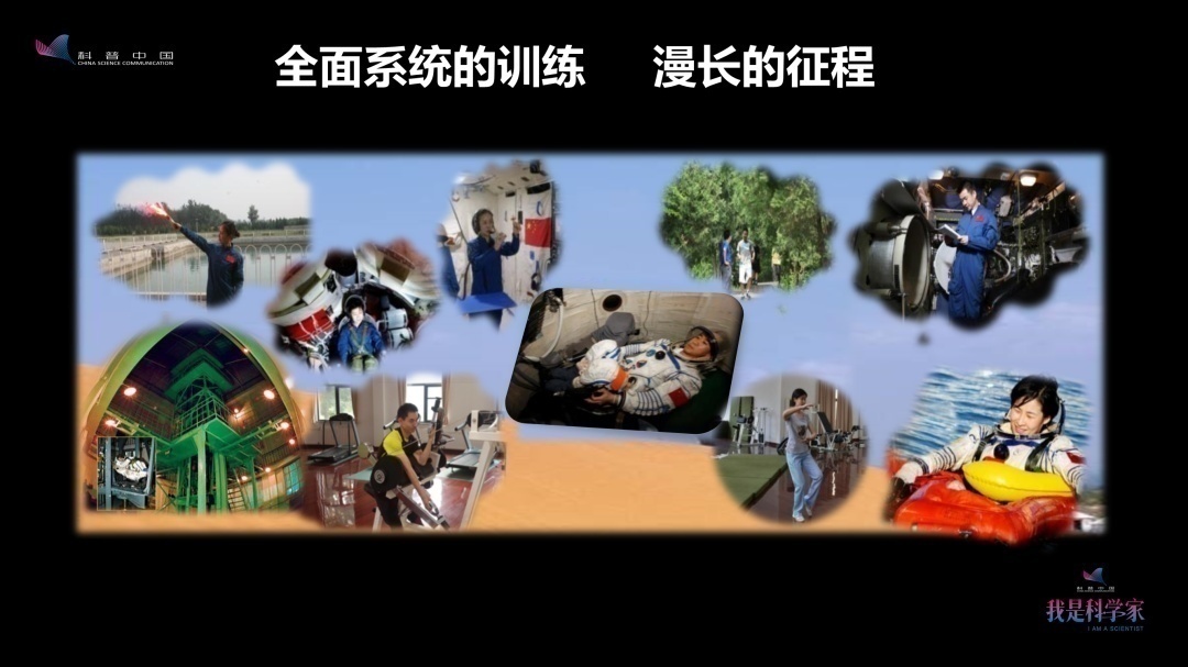 1685619852871431.png 11.png