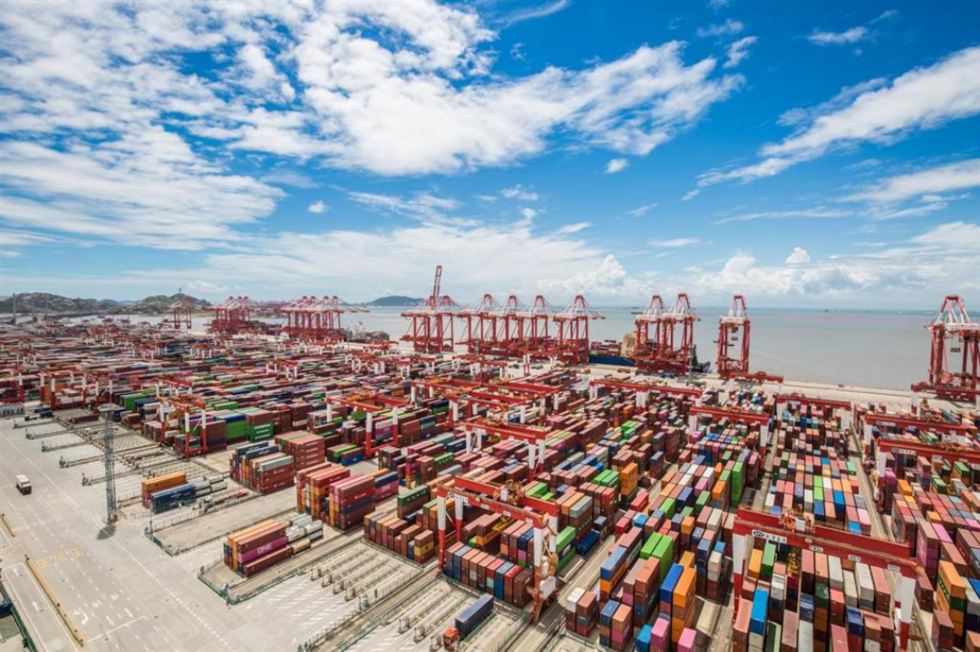 1685624031133632.gif image.gif