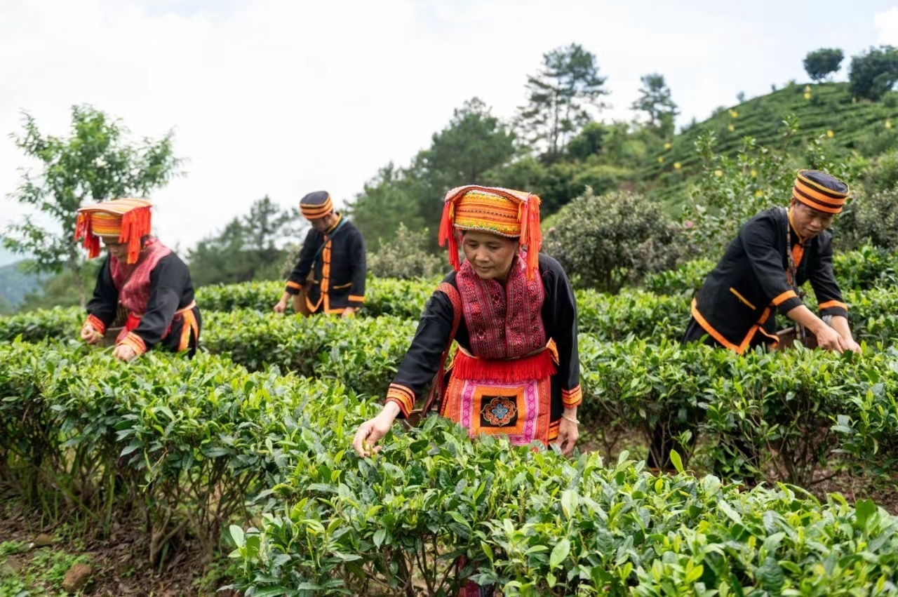 1685933845423459.png 图片.png