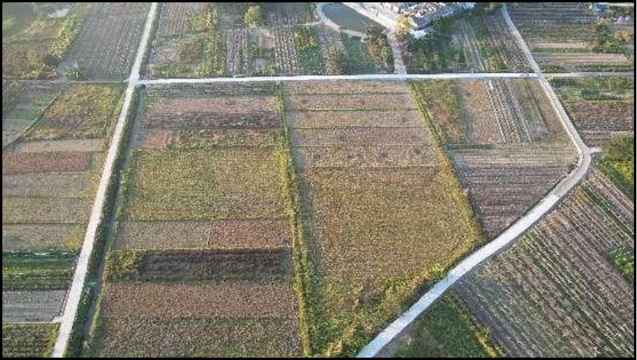 中交四航局深度参与广东“百千万”高质量发展工程  为揭西乡村振兴贡献央企力量（新闻通稿）3311.png