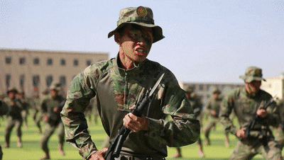 6.gif