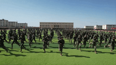 7.gif