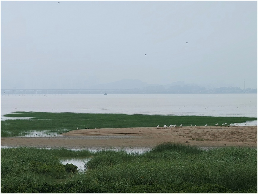 1687016339788819.png image.png