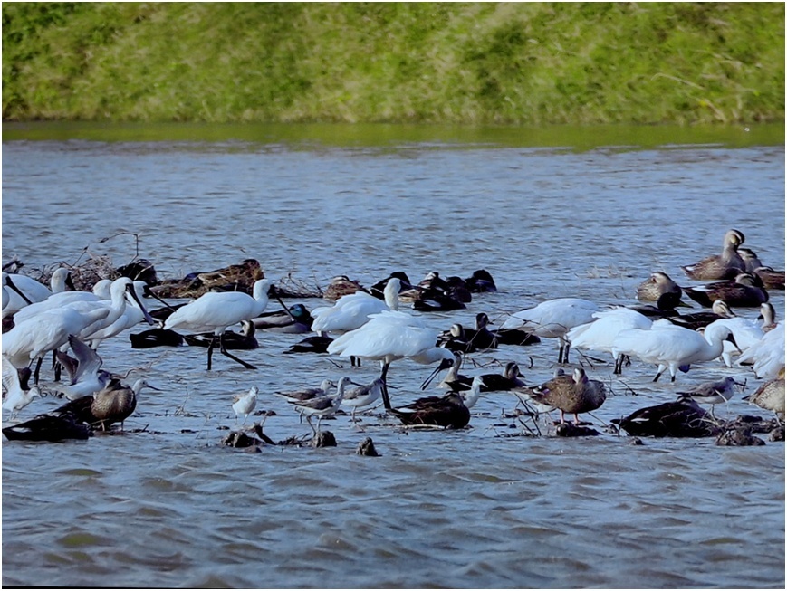 1687016425915243.png image.png