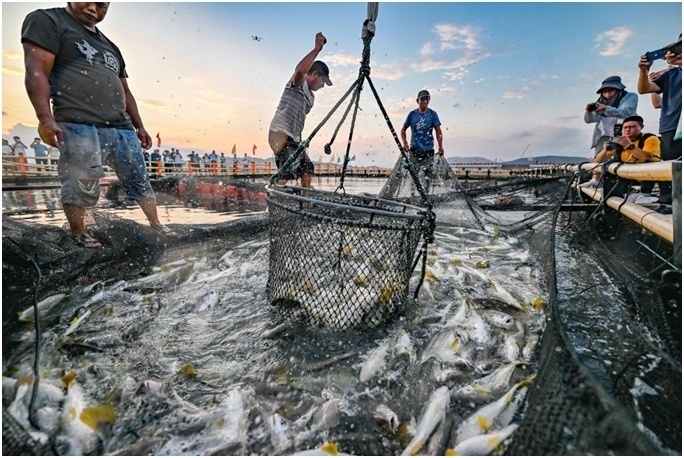 1687132603926683.png image.png