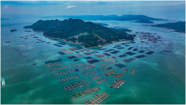 1687132641187741.png image.png