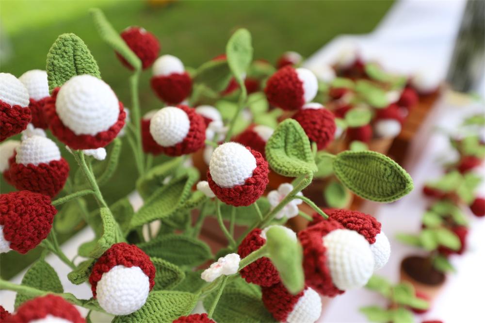 1687433564107081.jpg mmexport1687433112224.jpg