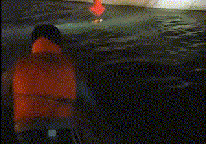 1687992085259087.gif 640.gif