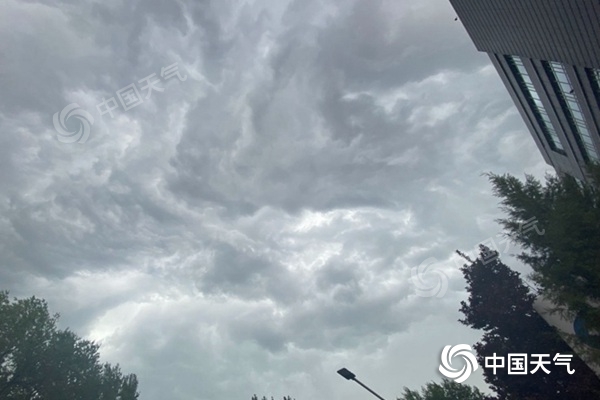 1687999001468253.jpg 1687938805361097528.jpg