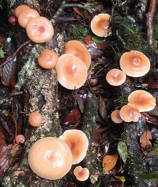 1688026999524957.png 微信图片_20230629115614.png