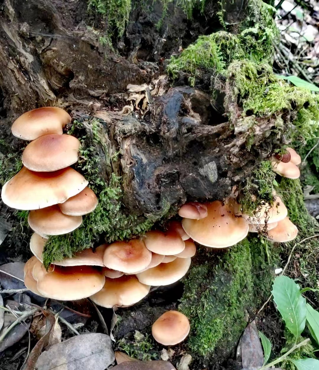 1688027020252807.jpg 微信图片_20230629115614.jpg