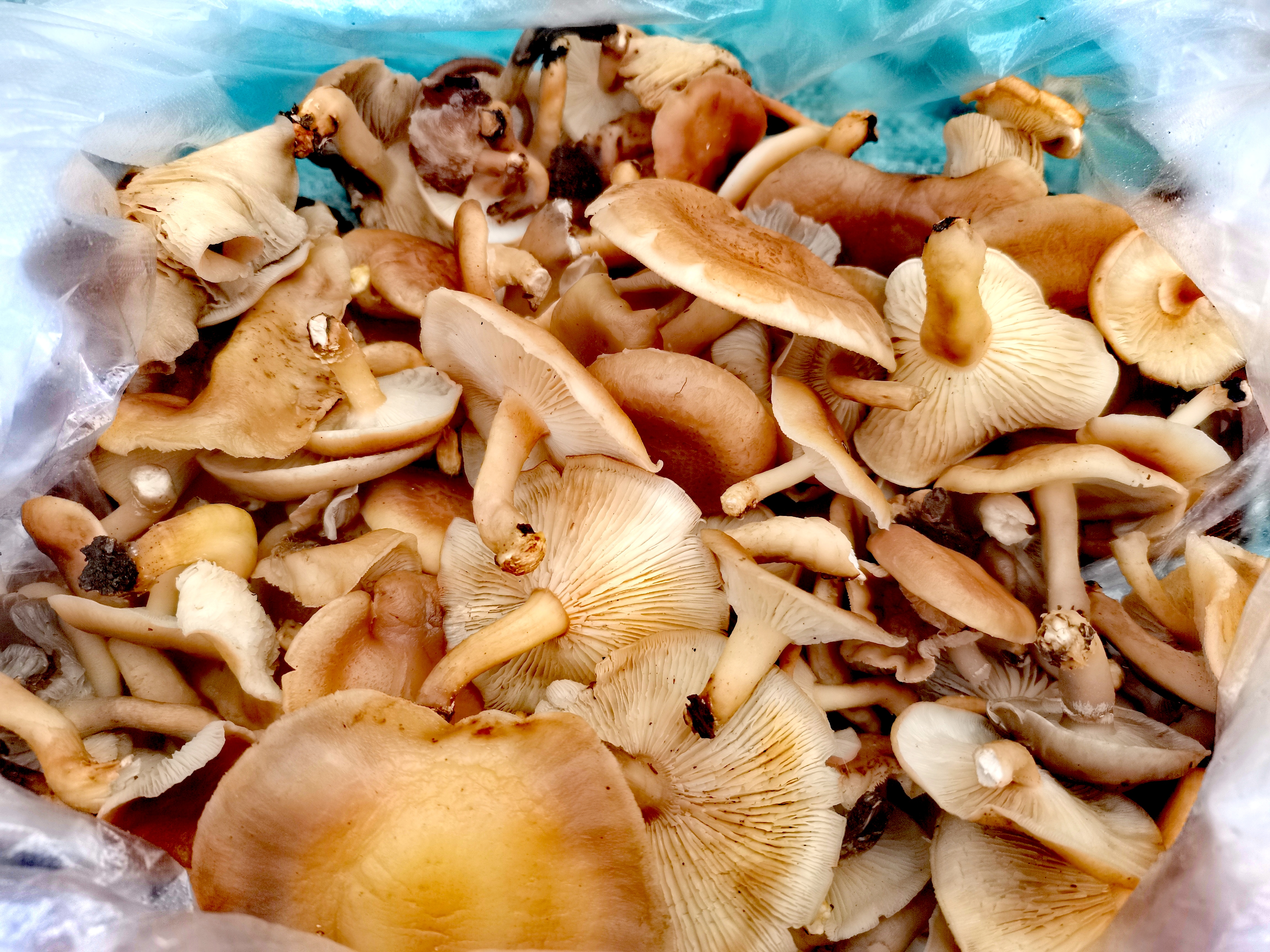 1688027032640053.jpg 微信图片_202306291156142.jpg