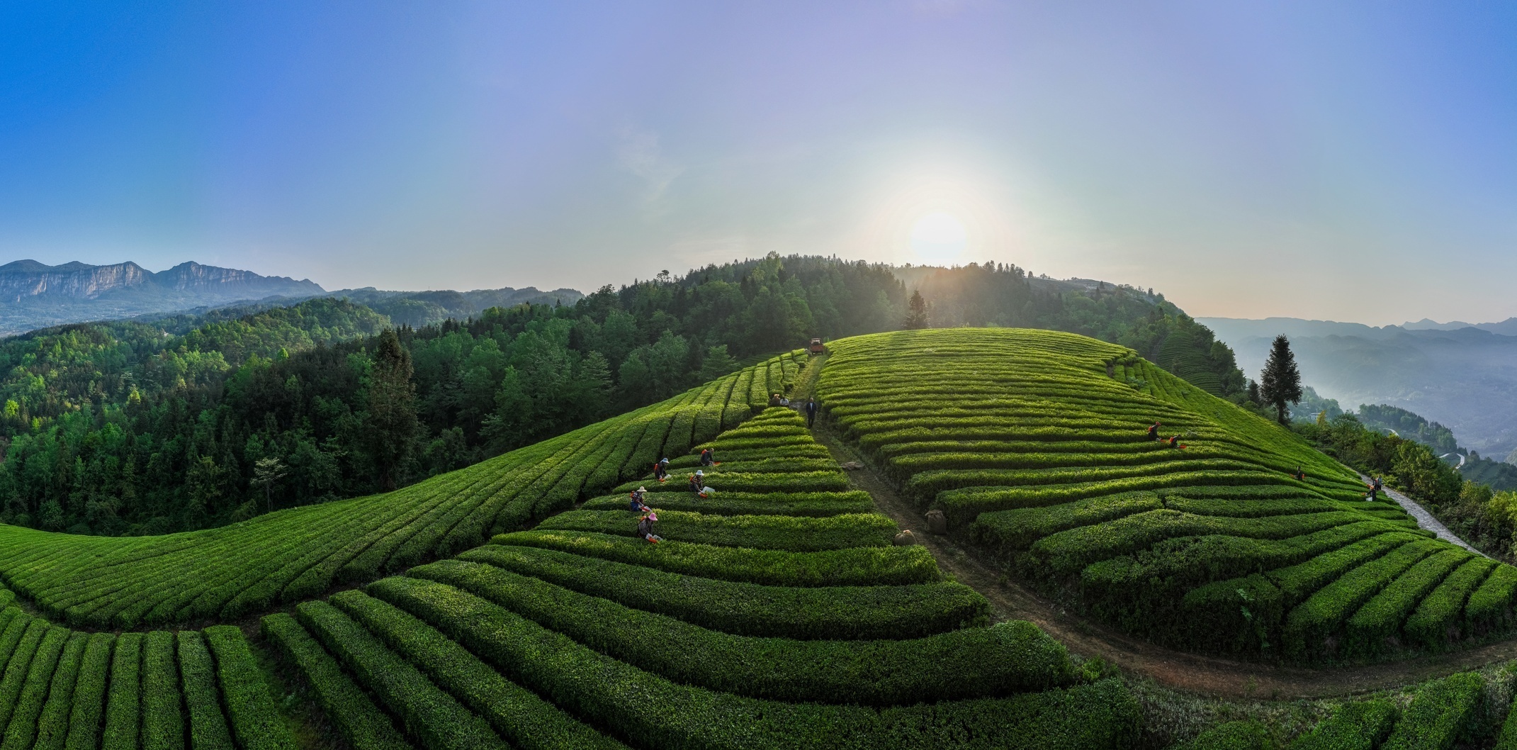 1688691638313060.png image.png