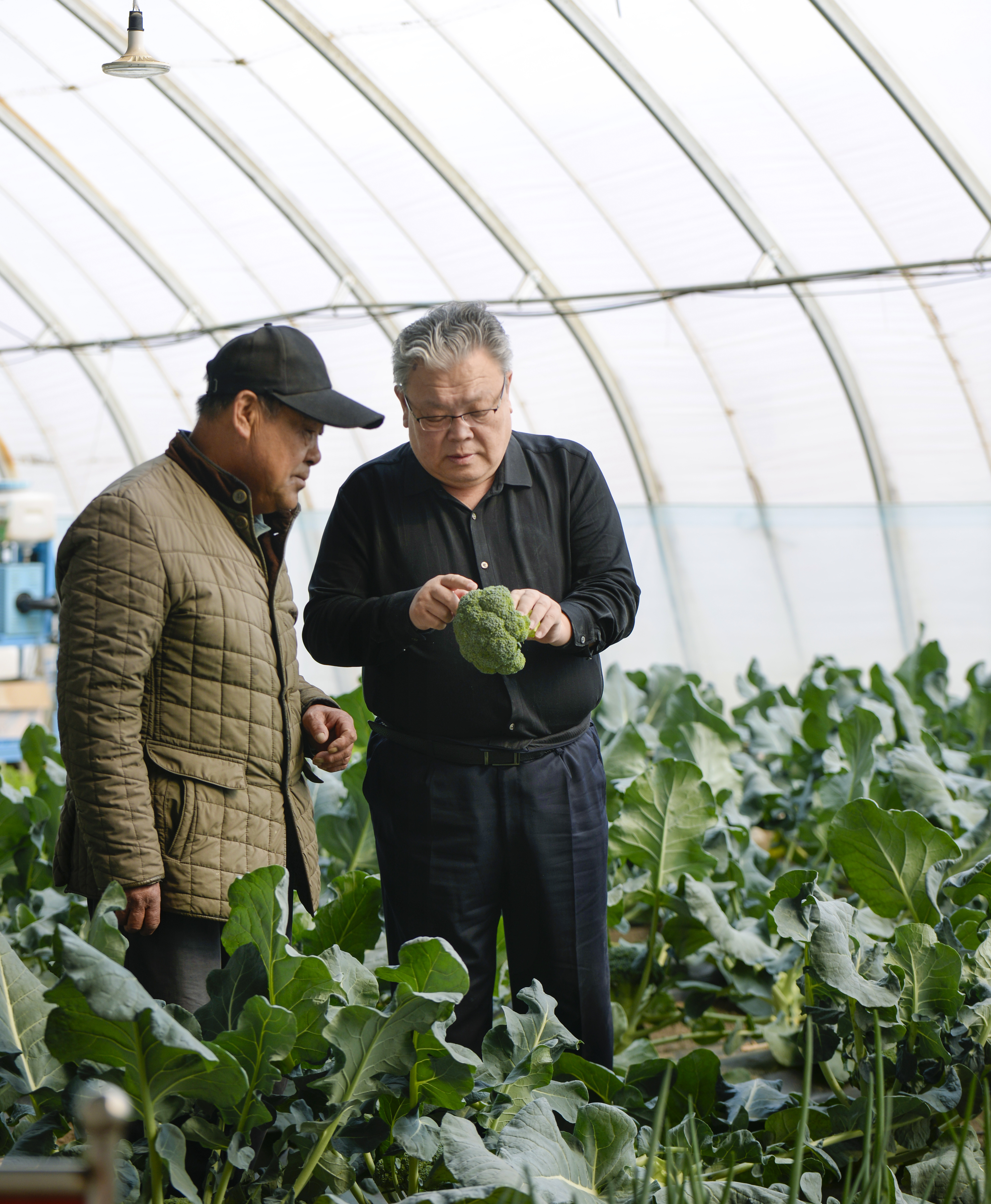 图为关慧明（图右）在温室大棚为农民进行技术指导。本报记者 张枨摄 (1).JPG