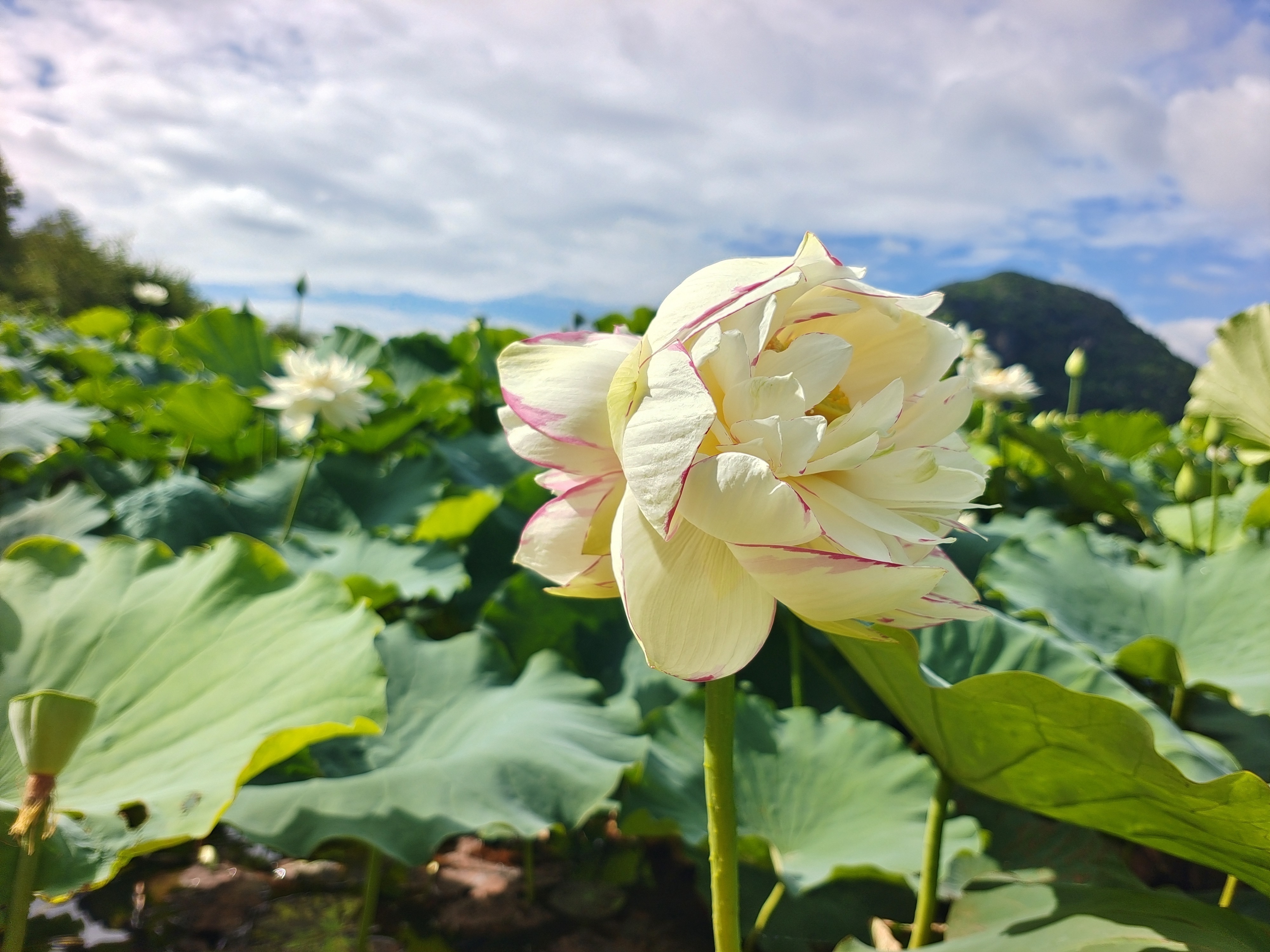 李皓岚 摄