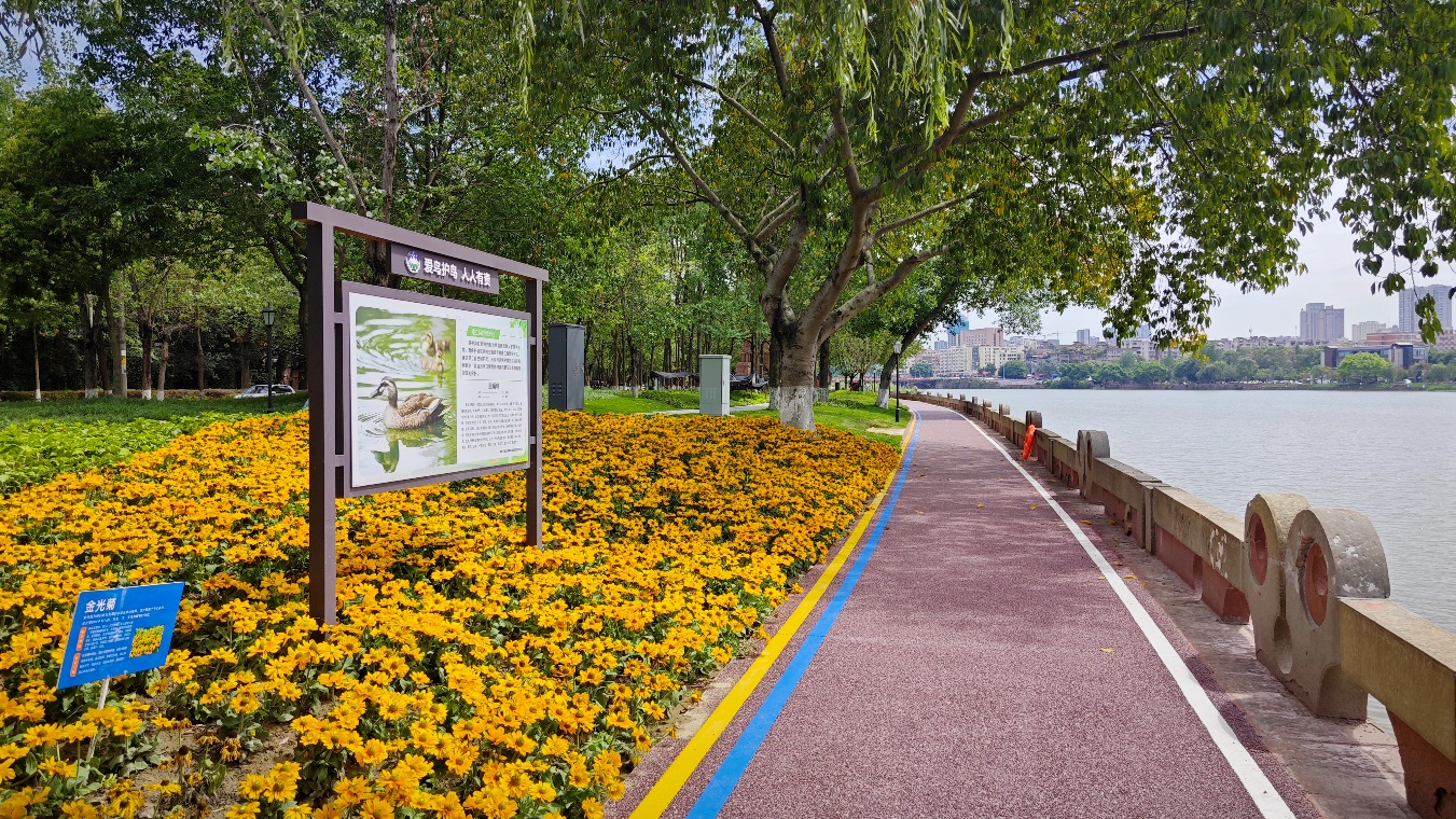 1689212824564005.jpg 图片1.jpg