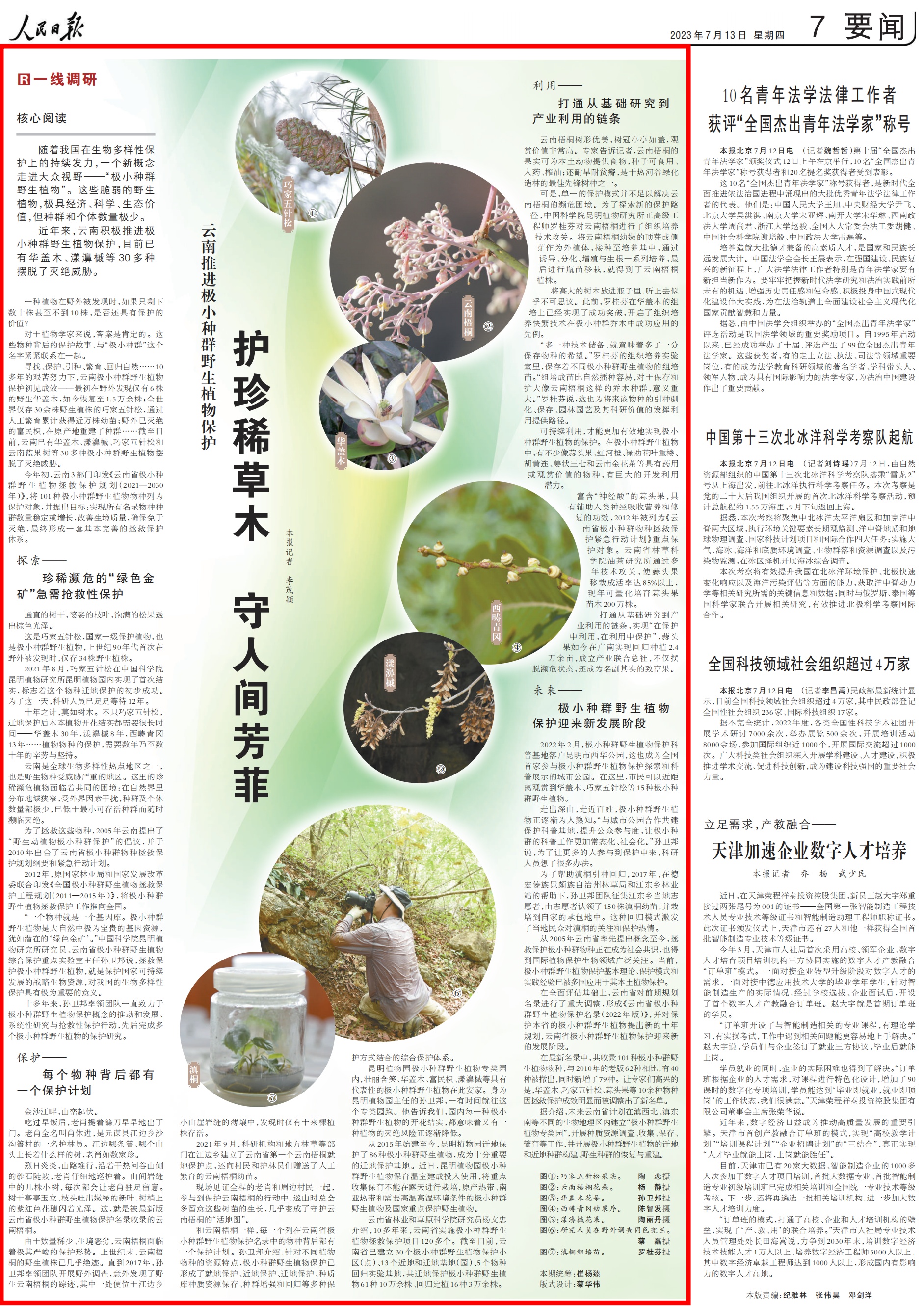 人民日报要闻版头条点赞云南推进极小种群野生植物保护